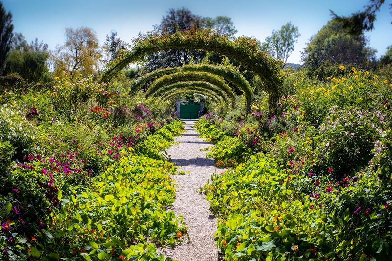 Monet's Garden, Giverny